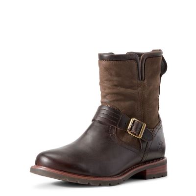 Ariat Savannah - Laarzen Chocola Dames - 34504-479